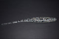5" Baby Trout Blitz 8pk